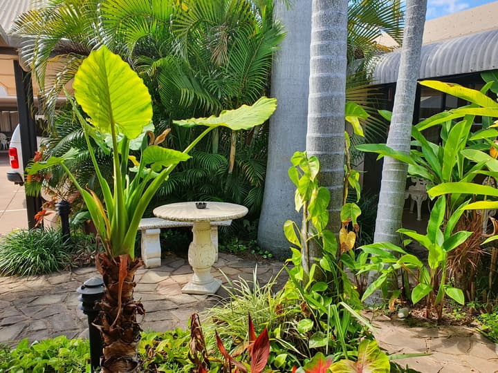 Rockhampton Palms Motor Inn