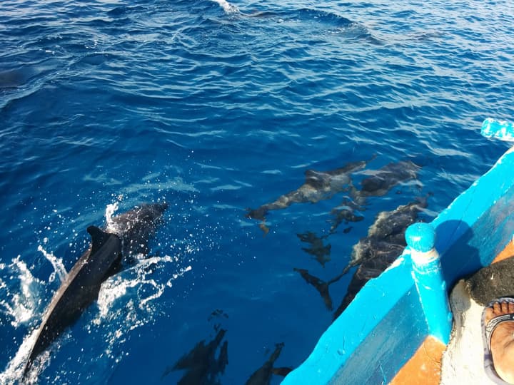 Vaali Maldives Island Escapes & Dive