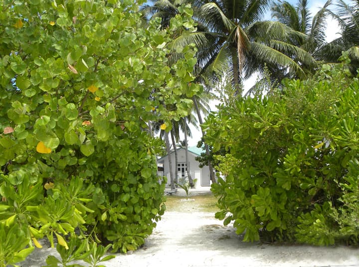 Vaali Maldives Island Escapes & Dive