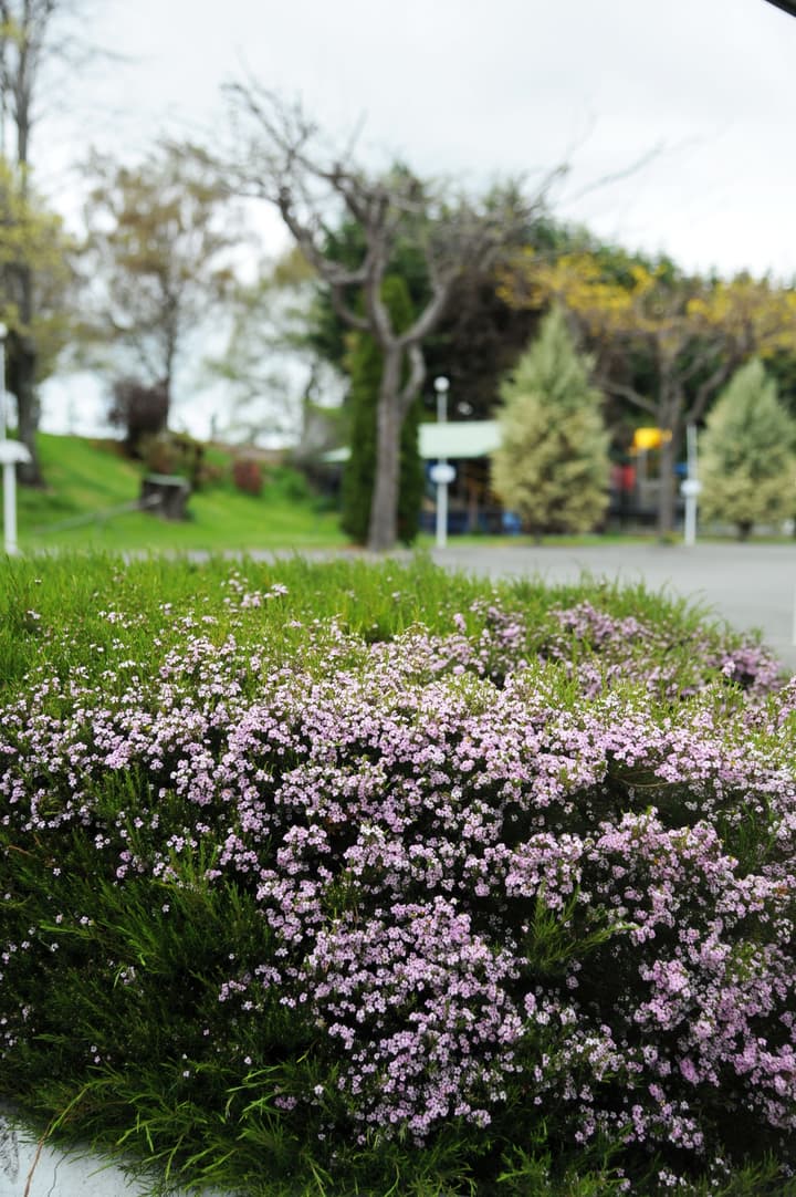 Blenheim Bridges Holiday Park