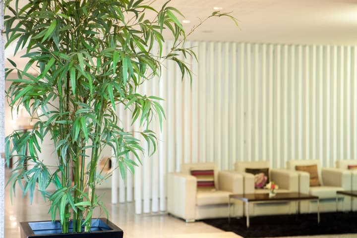 Lux Fátima Park - Hotel, Suites & Residence