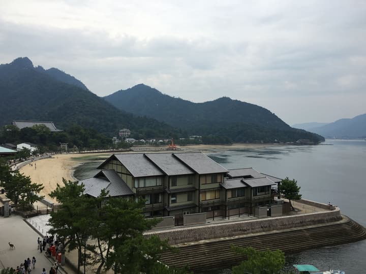 Sakuraya
