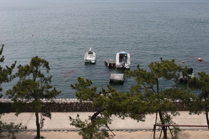 Sakuraya
