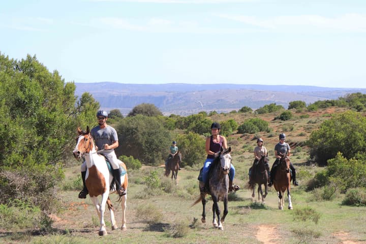 Woodbury Lodge - Amakhala Game Reserve