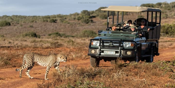 Woodbury Lodge - Amakhala Game Reserve
