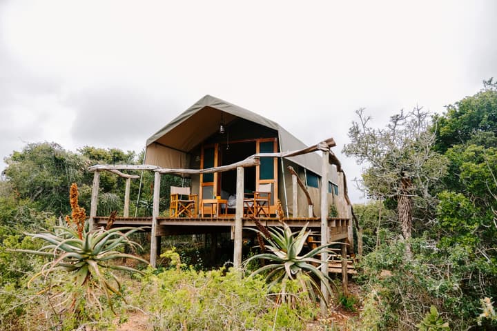 Woodbury Tented Camp - Amakhala Game Reserve