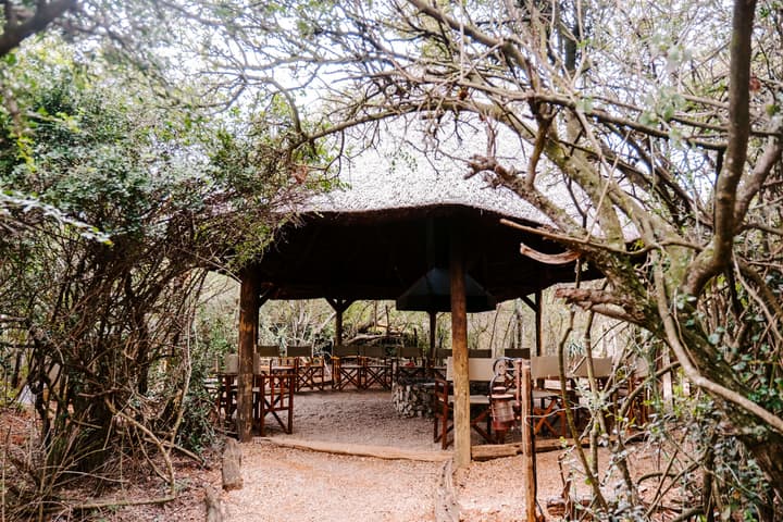 Woodbury Tented Camp - Amakhala Game Reserve