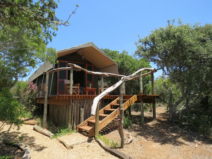 Woodbury Tented Camp - Amakhala Game Reserve