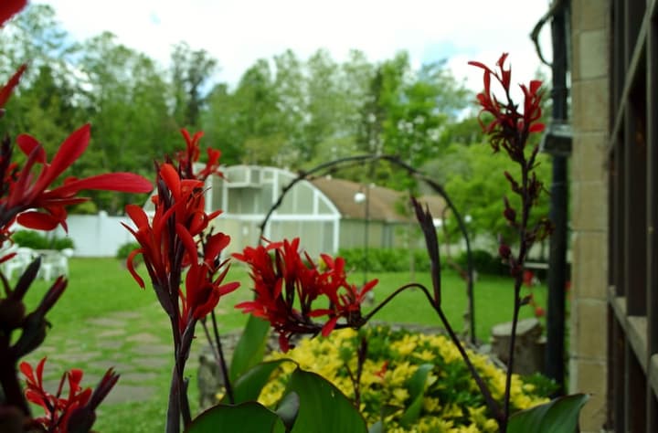 Hotel Termas de Lierganes