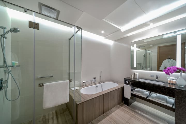 Hyatt Regency Dubai Creek Heights