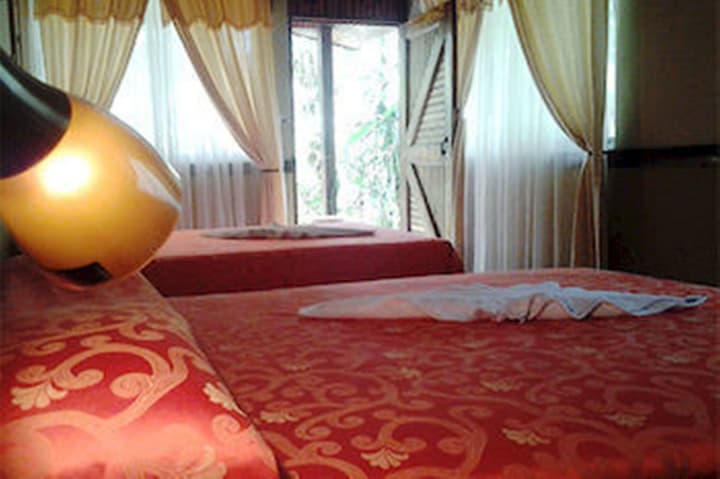 Ara Ambigua Lodge