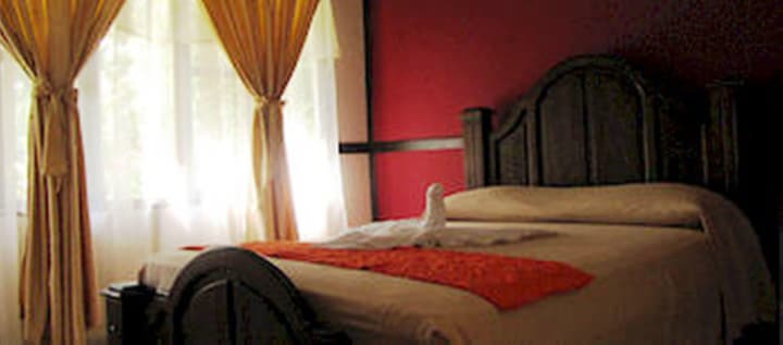 Ara Ambigua Lodge
