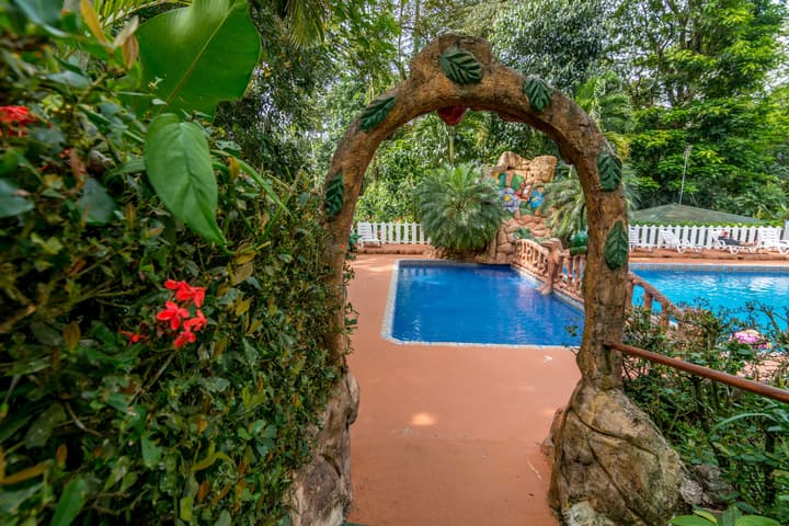 Ara Ambigua Lodge