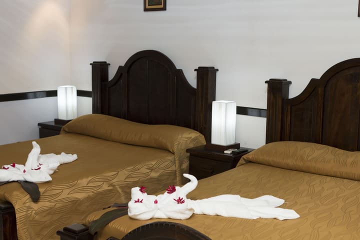 Ara Ambigua Lodge