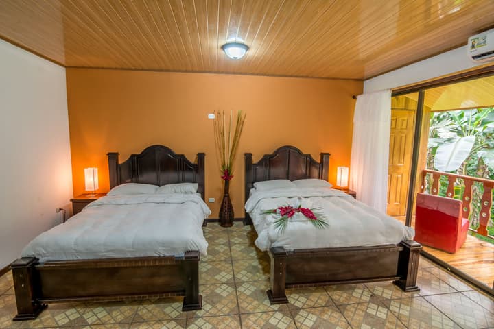 Ara Ambigua Lodge