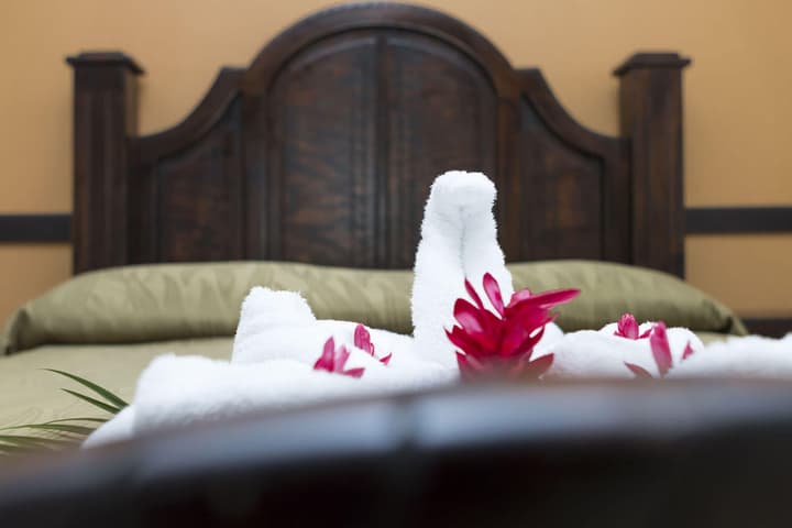 Ara Ambigua Lodge