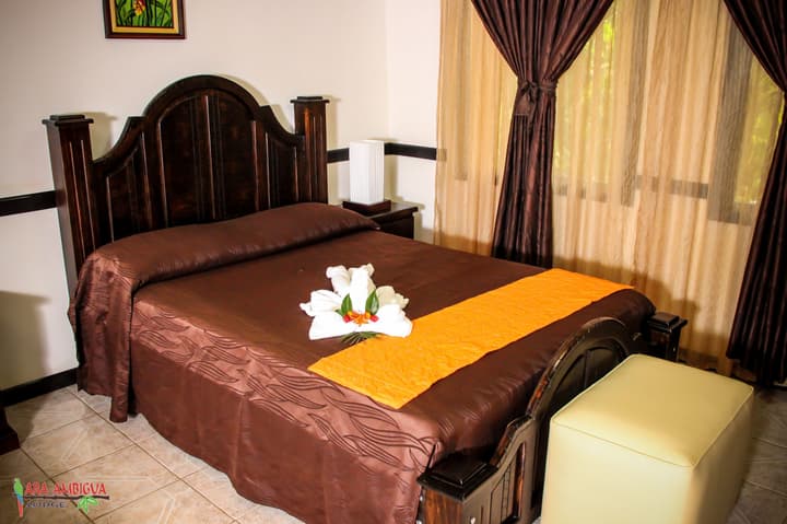 Ara Ambigua Lodge