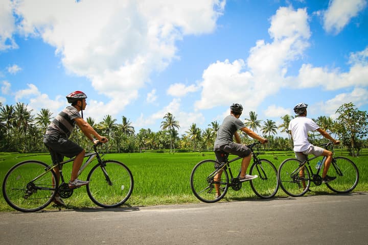 Ubud Wana Resort