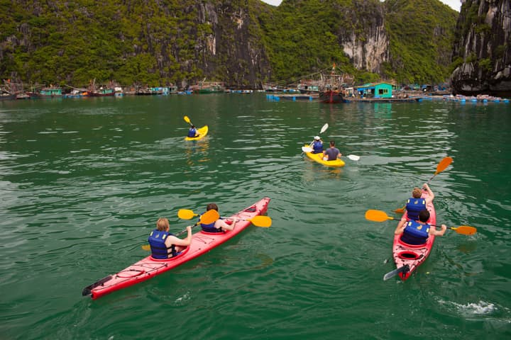 Halong Phoenix Cruiser