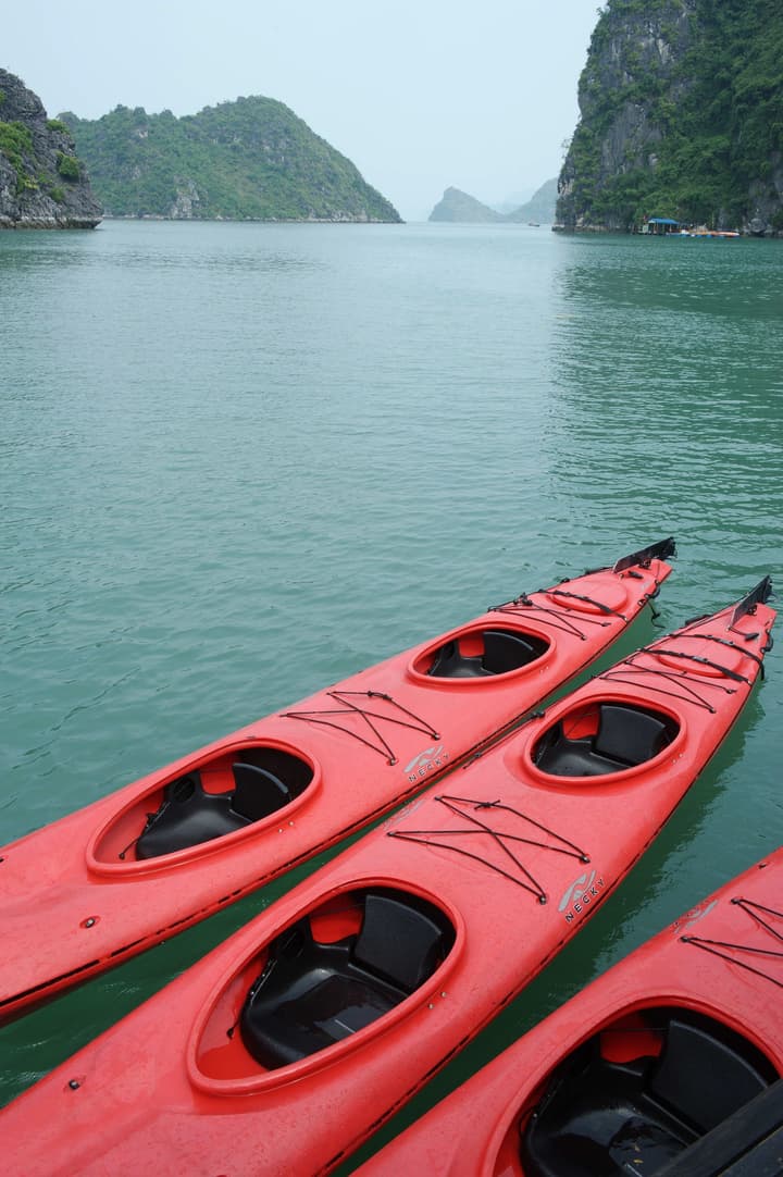 Halong Phoenix Cruiser