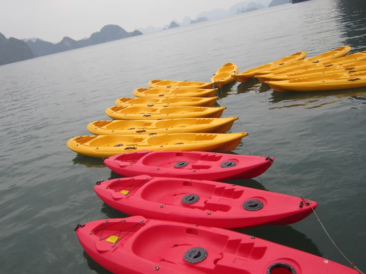 Halong Phoenix Cruiser