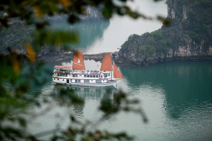 Halong Phoenix Cruiser