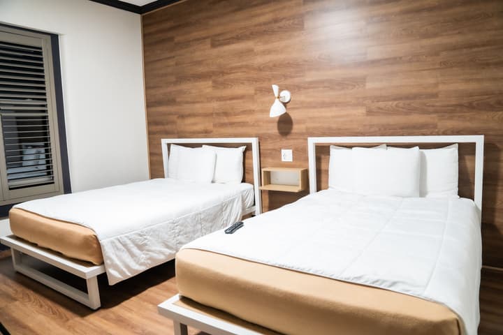 Amsterdam Hostel