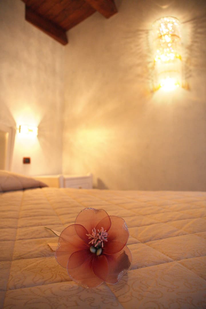 Hotel Rojan