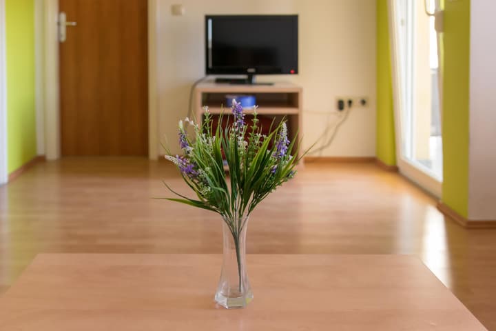 Villa Irena