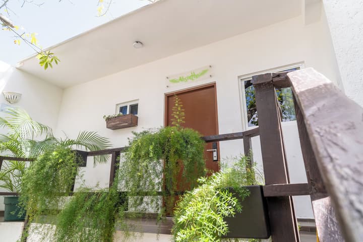 Mezcal Boutique Hotel