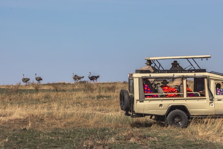 Sentrim Mara Game Lodge