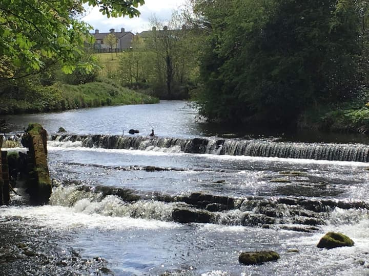 Twin Trees Hotel & Brusna Falls Leisure