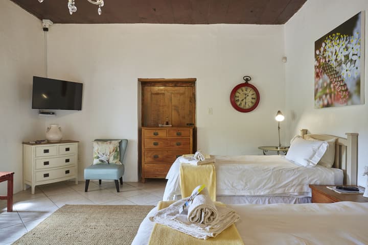 Yellow Aloe Guesthouse