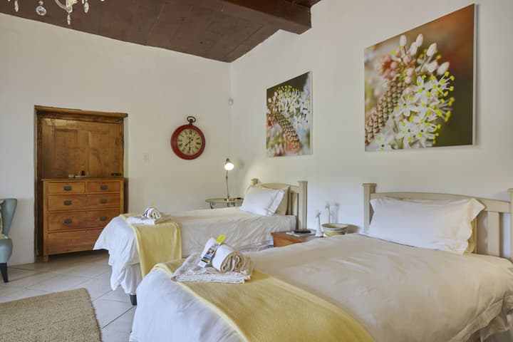 Yellow Aloe Guesthouse