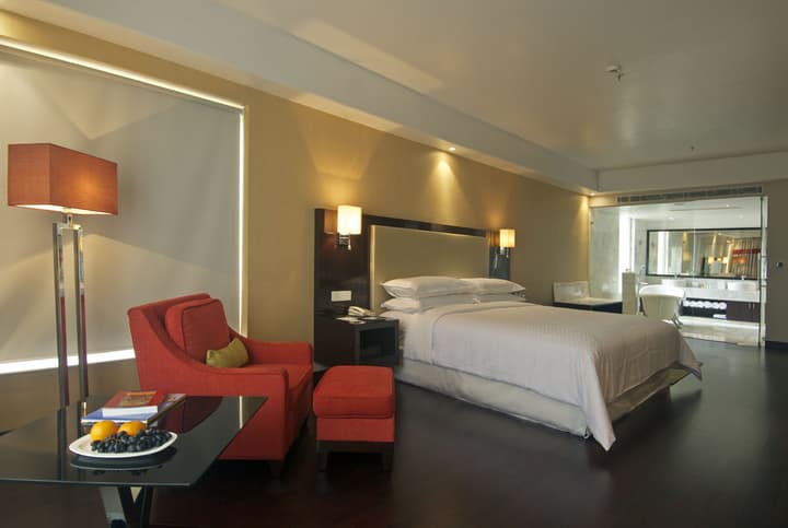 Radisson Hotel Agra