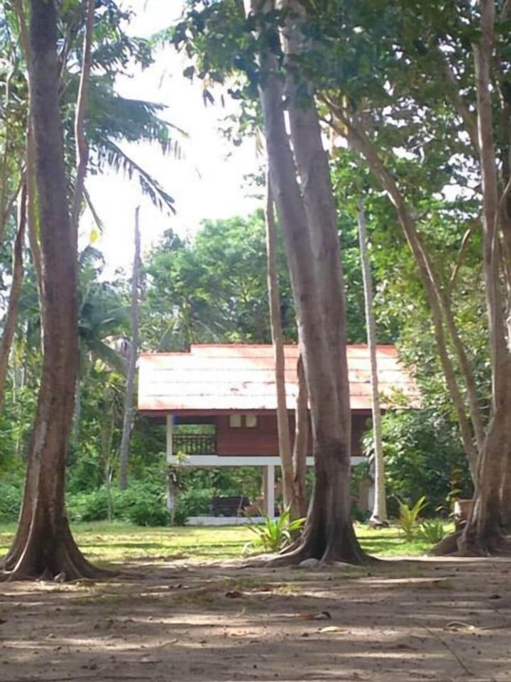 Joy Bungalow