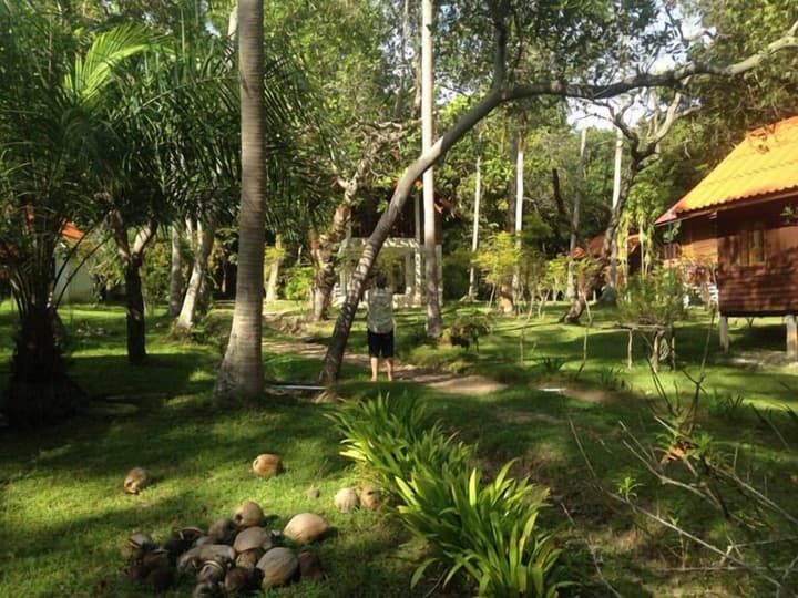 Joy Bungalow