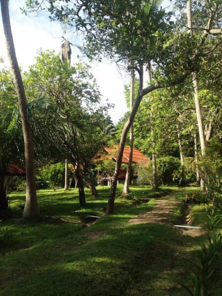 Joy Bungalow