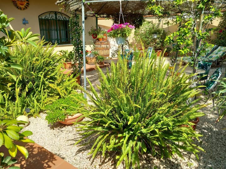 B&B Rosangela
