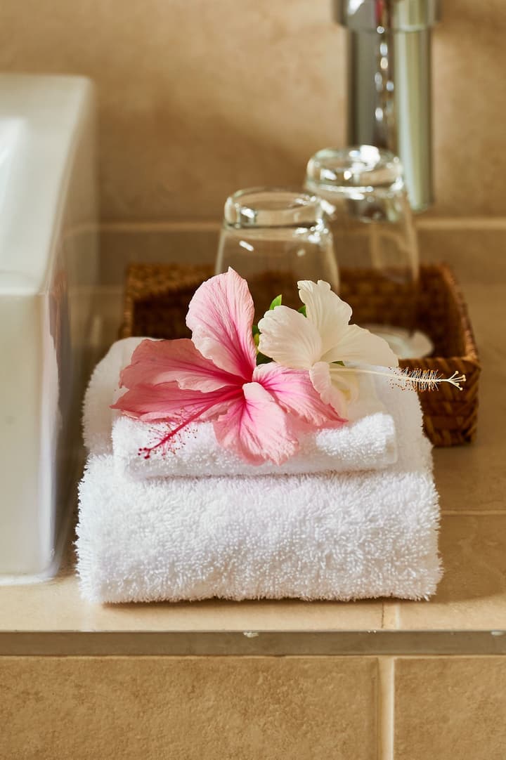 Forest Manor Boutique Guesthouse