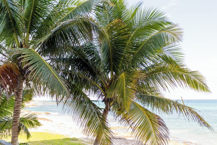 Angelina 28 Beachfront and Family Apartments - Modern and Relaxing Long Stays (20 min from Cancun Airport)