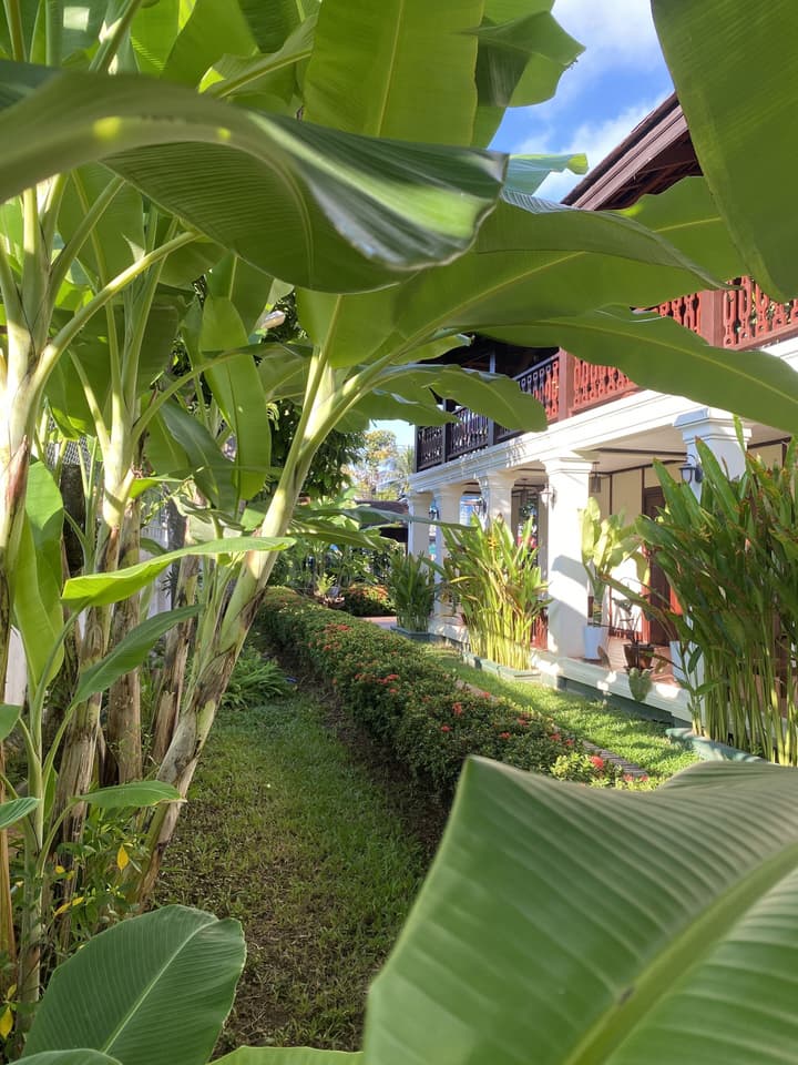 Luang Prabang Residence & Travel
