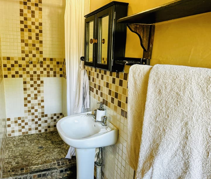 Leadwood Tree Safari Lodge