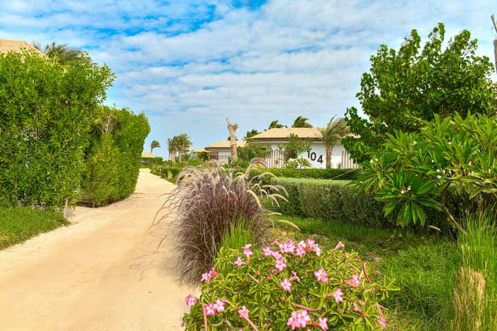 Tawila Island Resort