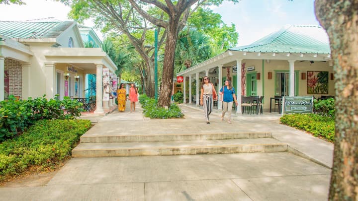 Luxury Villa With Heated Pool Jacuzzi Full Staff
