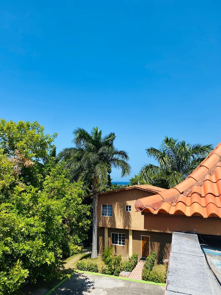 Montego Bay Ironshore  Luxury Studios