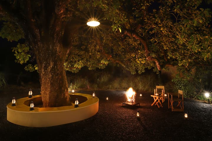 Lemon Tree Wildlife Resort Kanha