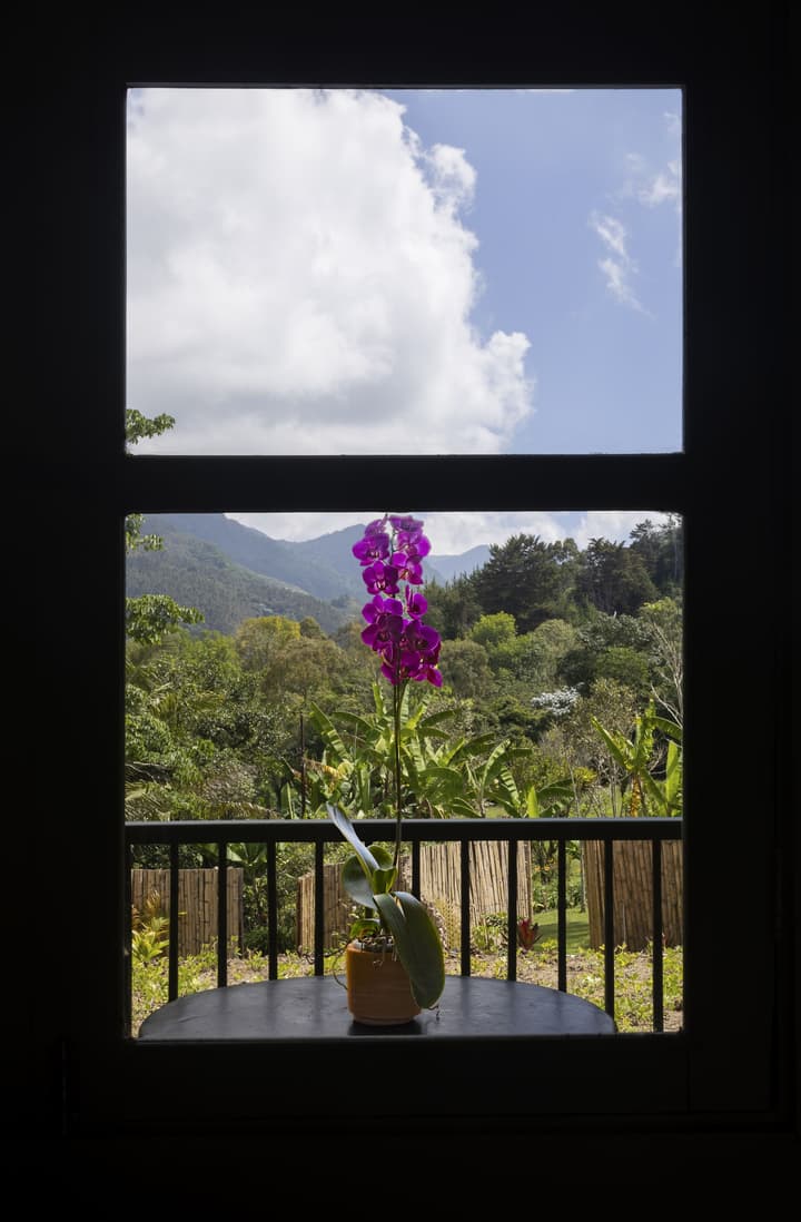 Sazagua Reserva Natural Cocora