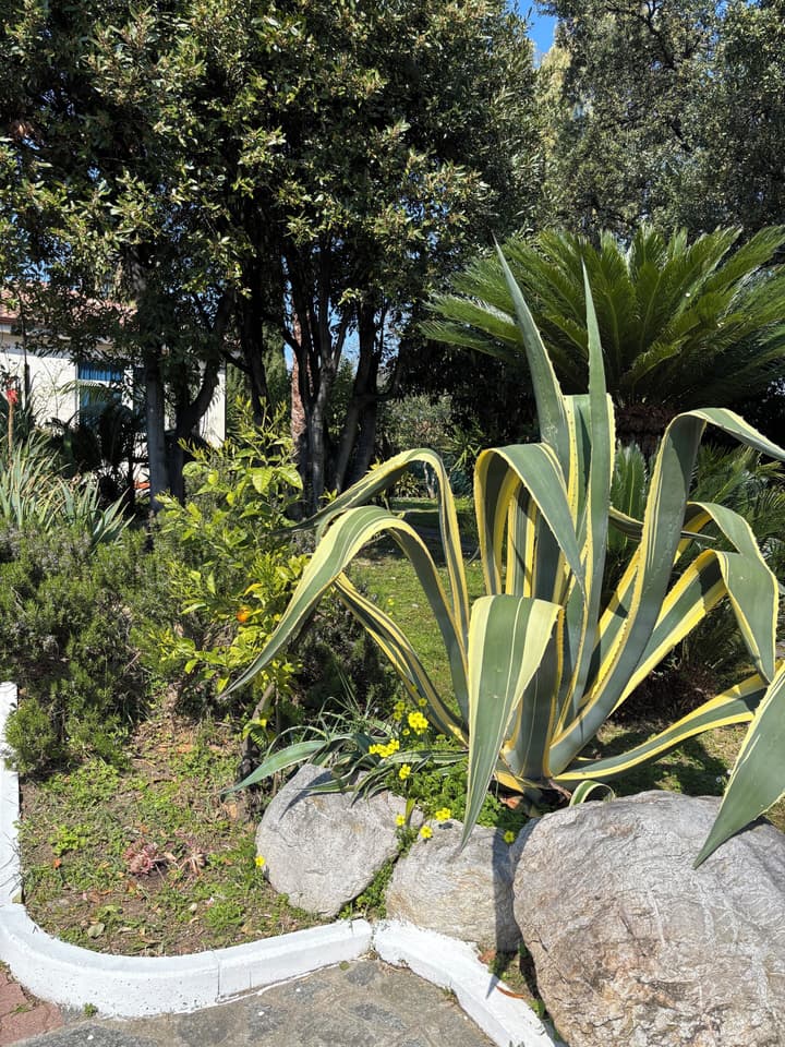 Villa Paola