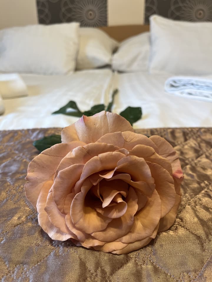 Hotel Rose City
